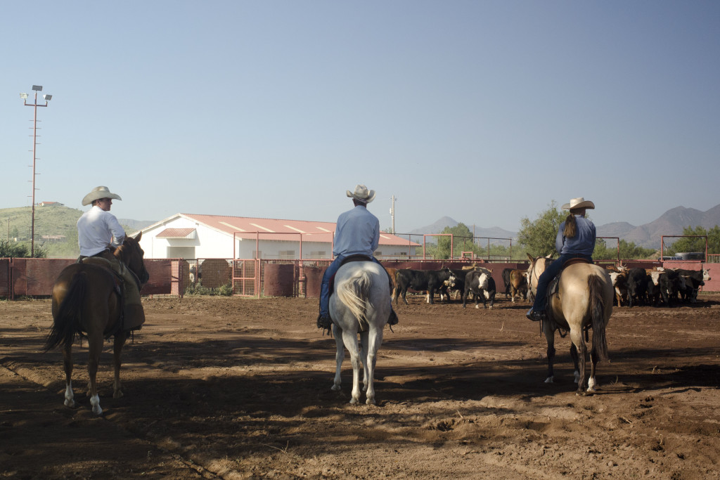 Cutting Horse Competition Brings Together Ranch Hands to Test Skills ...