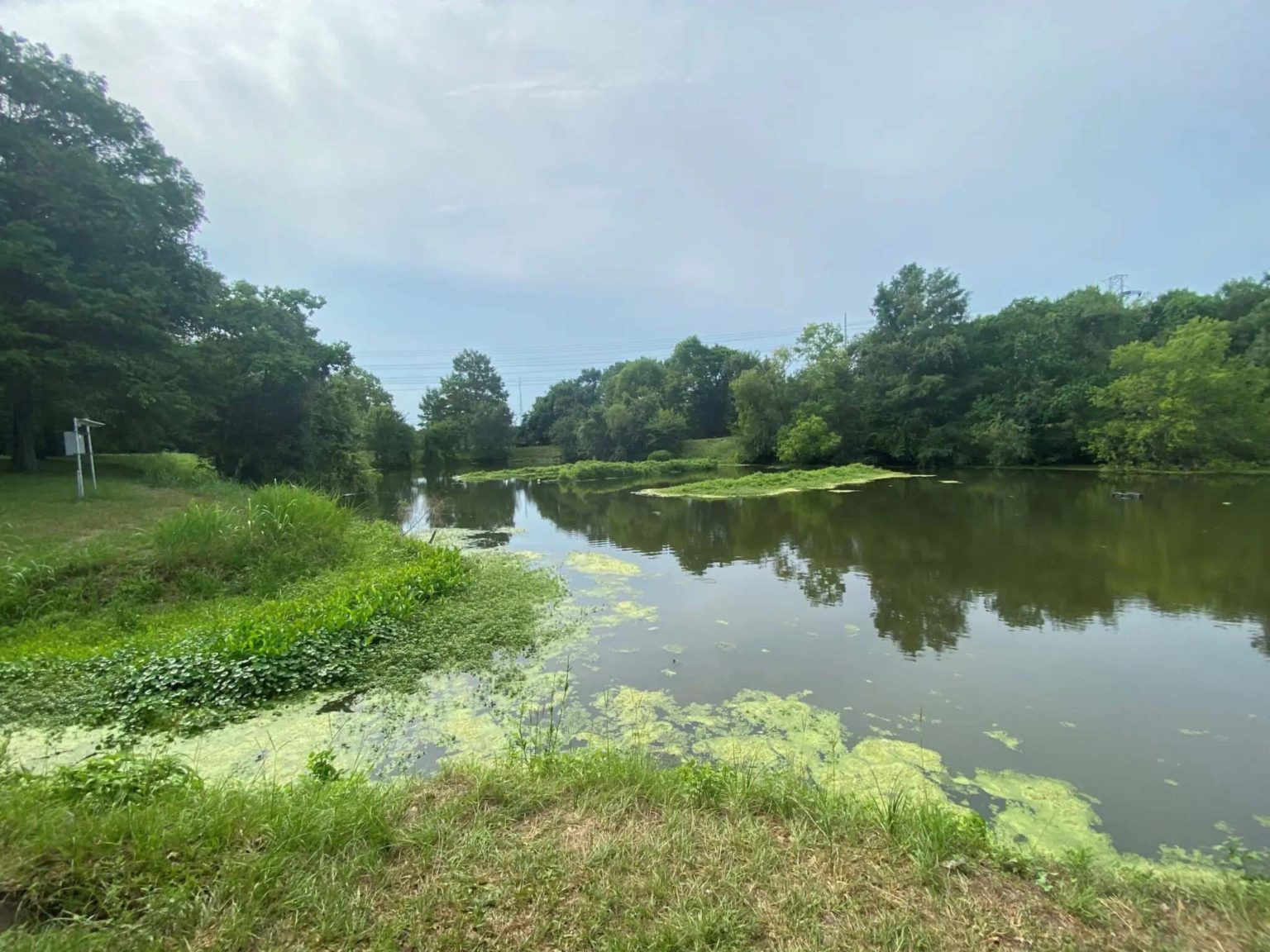 Flood Control Goes Green: How Houston Is Using Nature To Combat ...