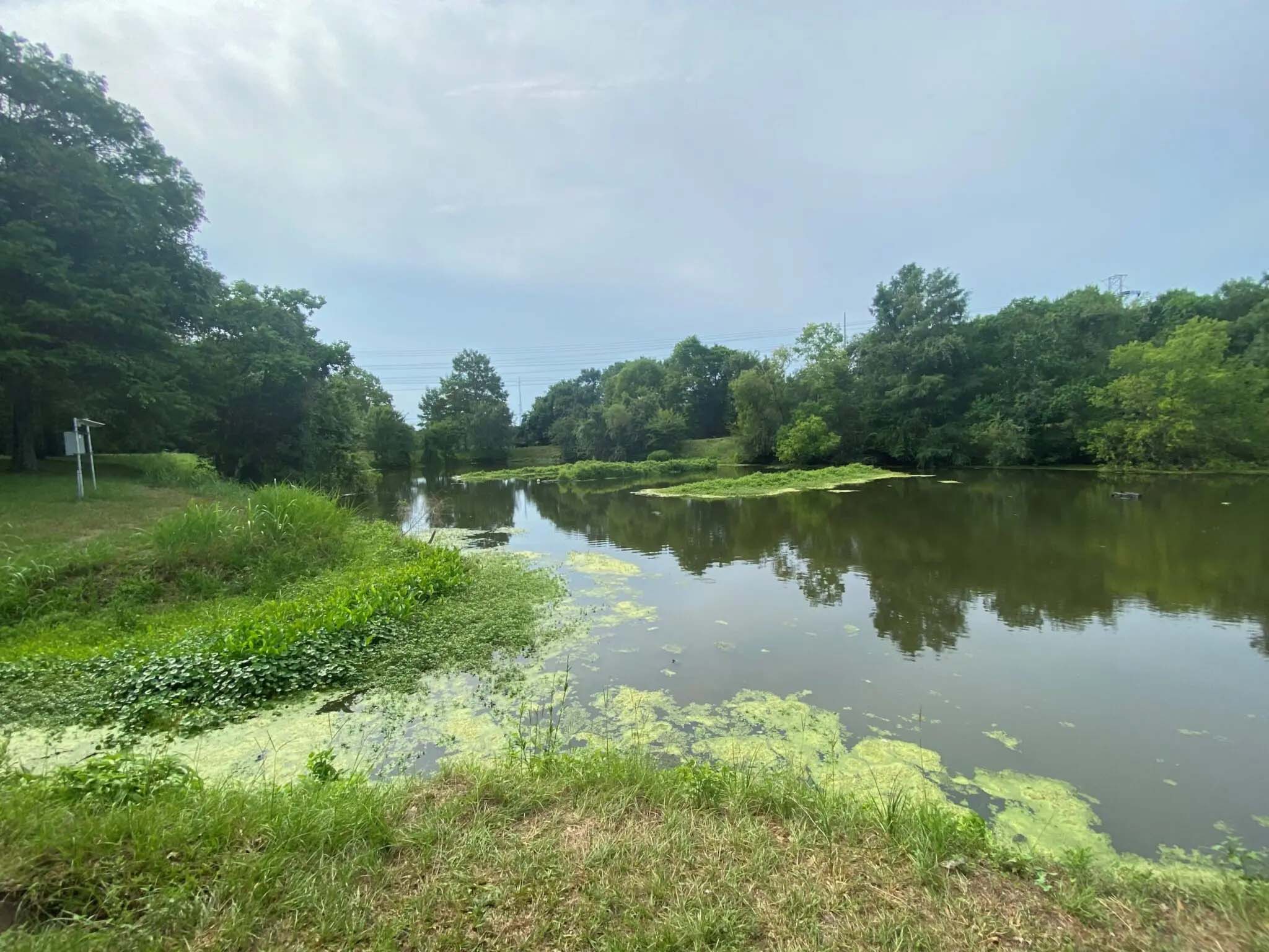 Flood control goes green: How Houston is using nature to combat ...