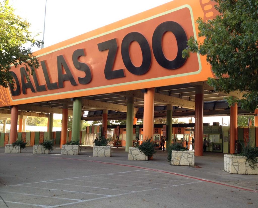 How the Dallas Zoo mystery unraveled