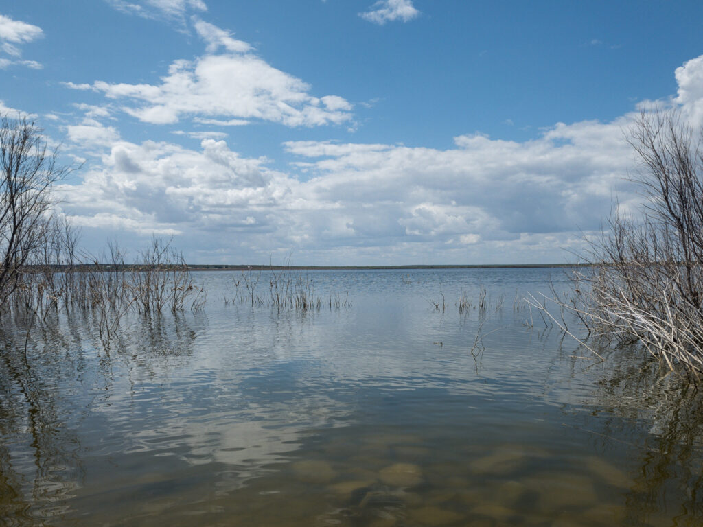 Shelter-In-Place Remedy: Catch World-Record Bass - Game & Fish