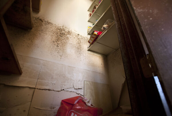 If your home floods, here are steps you can take to address mold