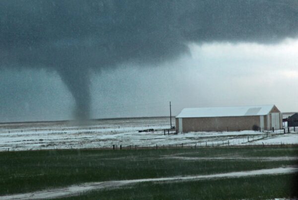 ‘They love seeing the majesty of these storms’: How tornado tourism has taken off