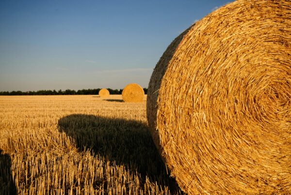 How Texas counties compare to the rest of the U.S. for best places to farm