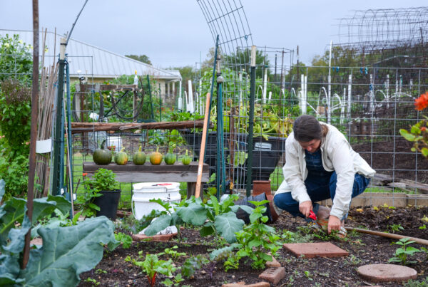 A person crouches down in a green garden, digging into the dirt with a small shovel.