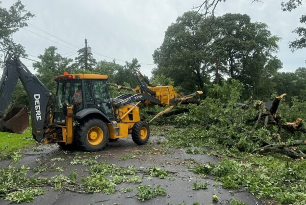 East Texas picking up the pieces after series of storms downs trees, power lines