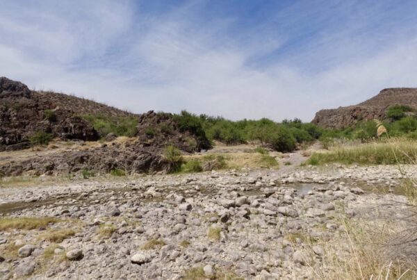 In Far West Texas, a disappearing river poses a challenge to tourism