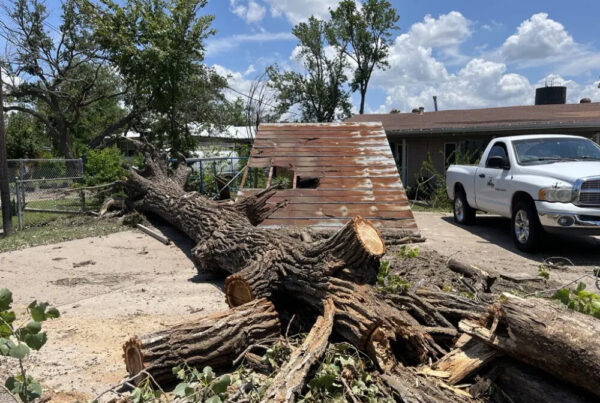 Texas Department of Insurance shares rebuilding tips in Hurricane Beryl aftermath