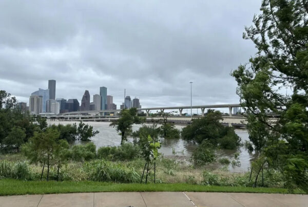 When climate disasters hit, people of color fare worse. This professor has ideas about how to help.