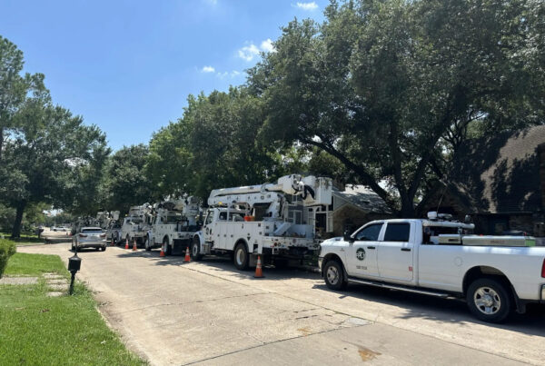 Hundreds of thousands in the Houston area remain without power five days after Hurricane Beryl