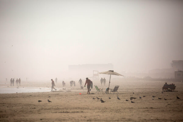 Texas beaches have a fecal contamination problem. These researchers have a grant to help.