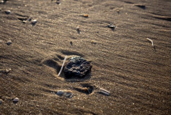 After a month of tar, the South Texas coast is now mostly clear of it. Beryl may change that.