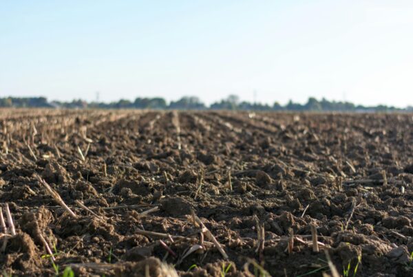 Self-watering, self-fertilizing soil could be available to farmers in the future