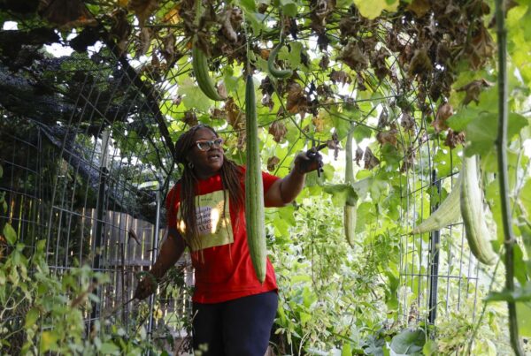 Black farmers in Texas build a home-grown community with nonprofit support