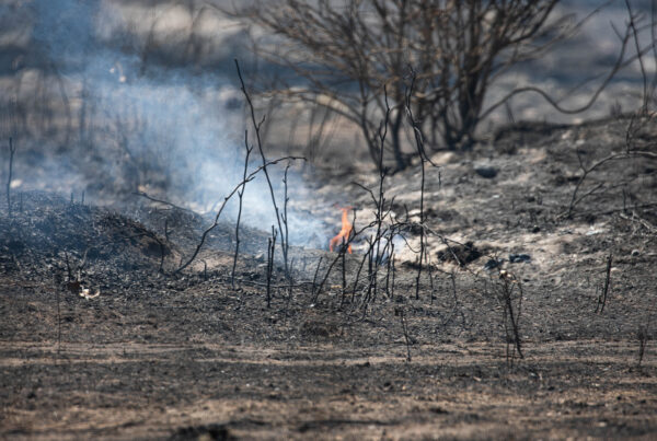 With drought conditions worsening, here’s how to prepare for wildfires