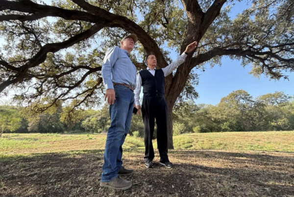 Henry Cisneros’ plans for an arboretum in San Antonio’s South Side are taking shape