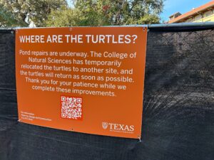 A photo of a burnt orange sign on a black mesh fence reads "Where are the turtles?" and explains that pond repairs are underway.