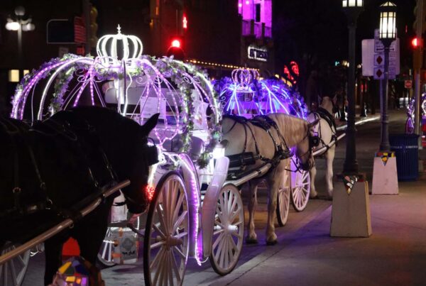 Horse carriage owners and workers consider what’s next if council shuts down the industry