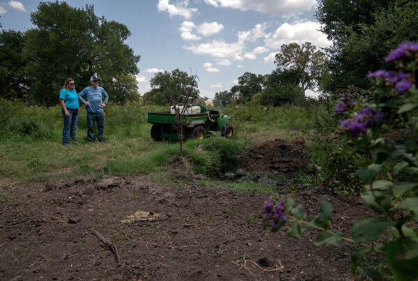 Texas farmers say sewage-based fertilizer tainted with ‘forever chemicals’ poisoned their land and killed their livestock