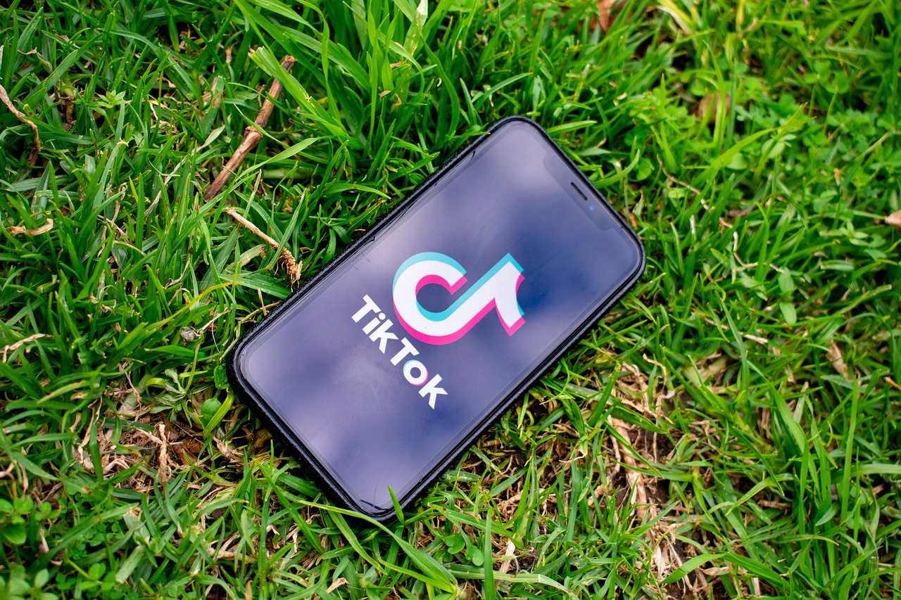 As TikTok ban looms, fans wait for the Supreme Court's ruling ...